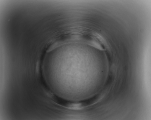 X0000088920217200706151930