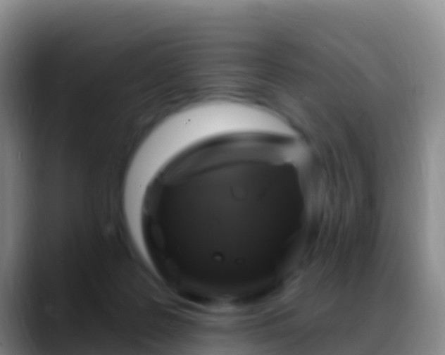 X0000088920219200706151930