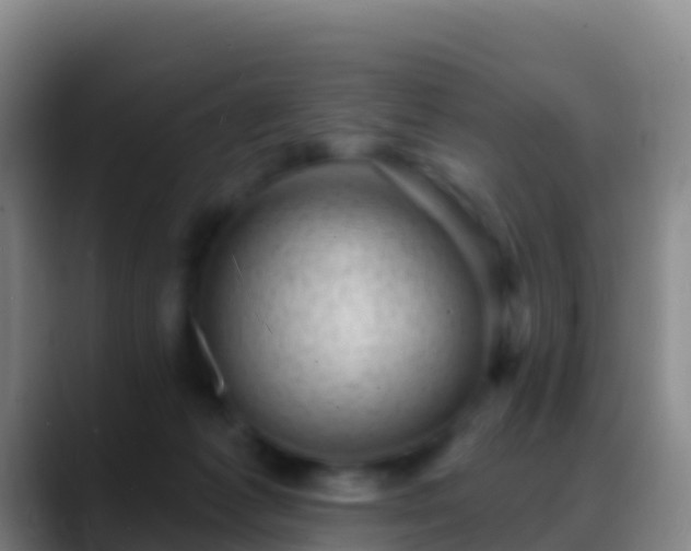 X0000088920221200706151930