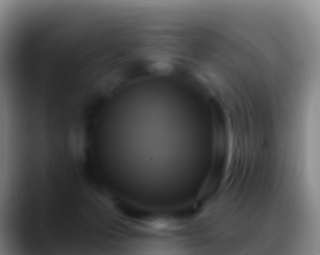 X0000088920223200706151930