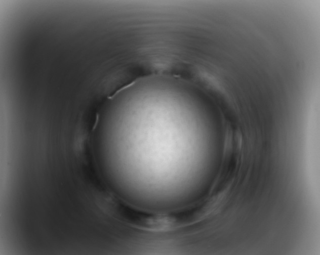 X0000088920225200706151930