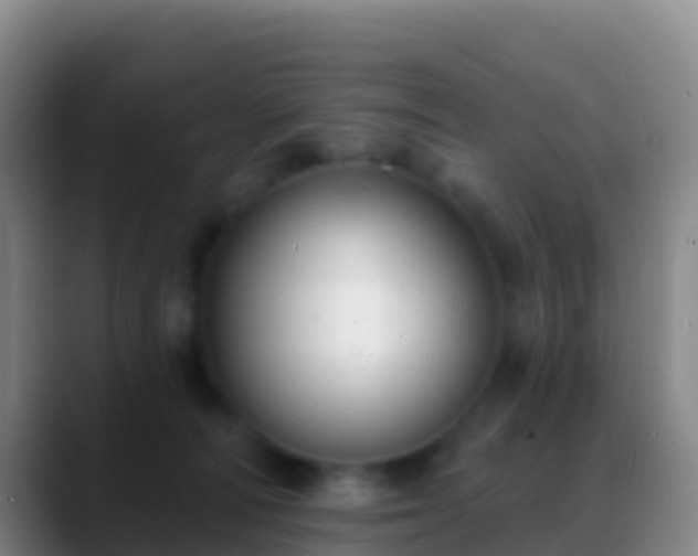 X0000088920226200706151930