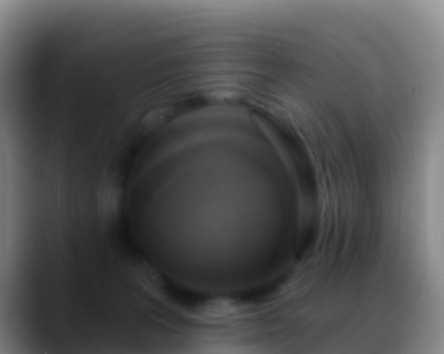 X0000088920227200706151930