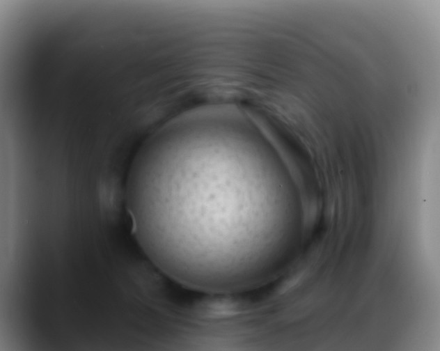 X0000088920228200706151930