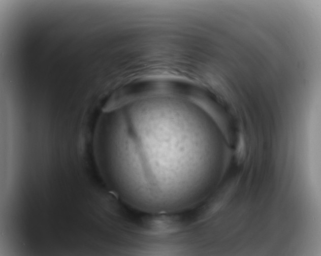 X0000088920229200706151930