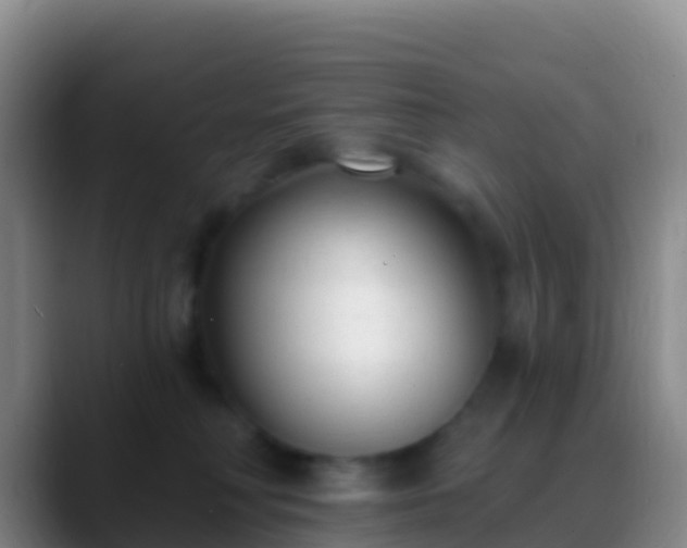 X0000088920230200706151930