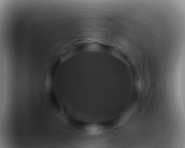 X0000088920231200706151930