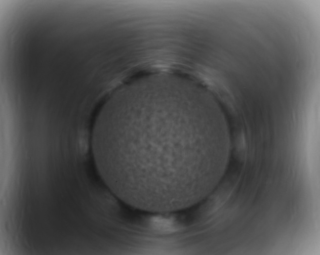 X0000088920232200706151930