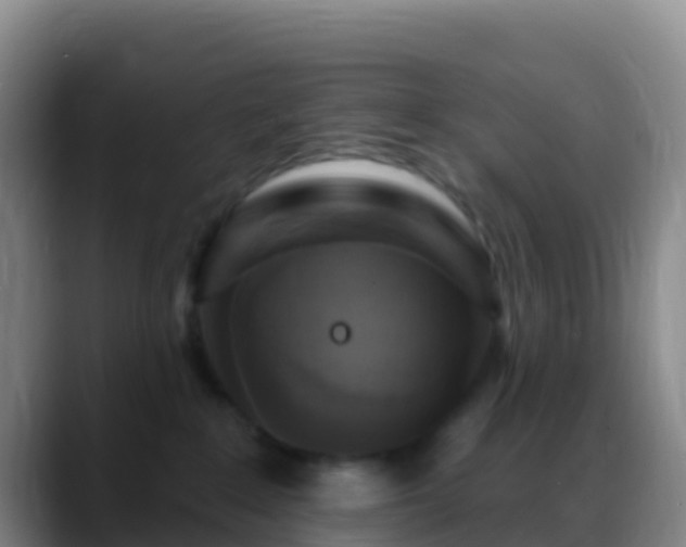 X0000088920235200706151930