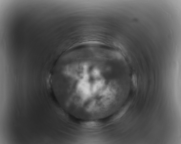 X0000088920237200706151930