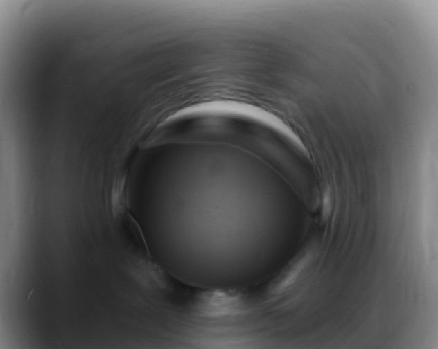 X0000088920239200706151930