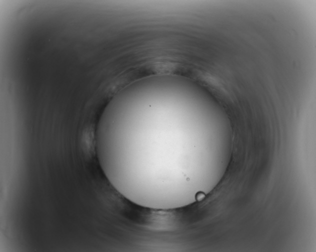 X0000088920240200706151930