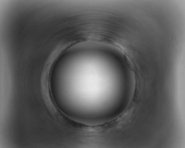 X0000088920241200706151930