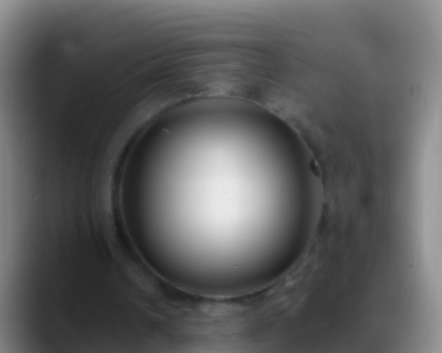 X0000088920242200706151930