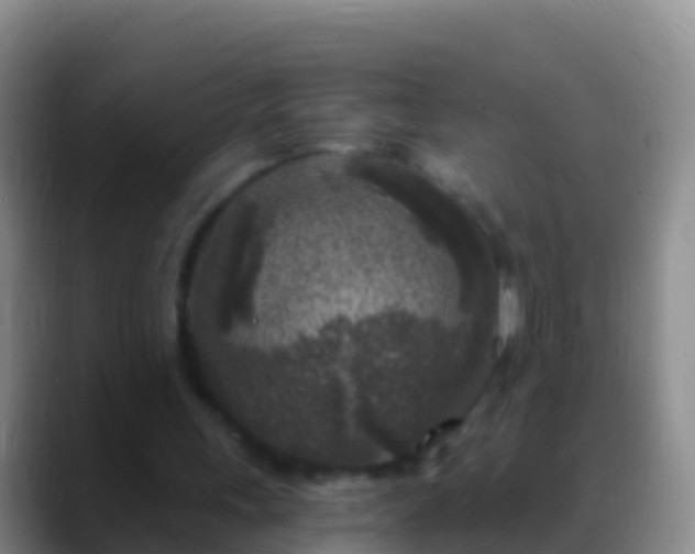 X0000088920243200706151930