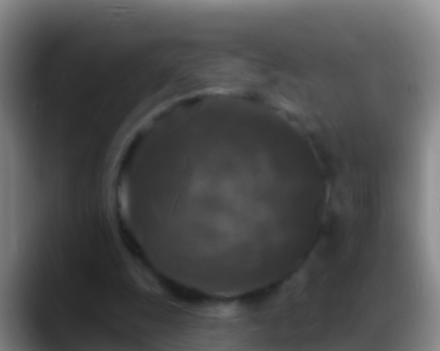 X0000088920247200706151930