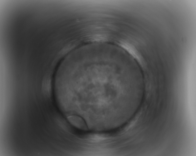 X0000088920250200706151930