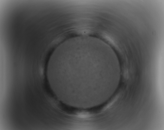 X0000088920258200706151930