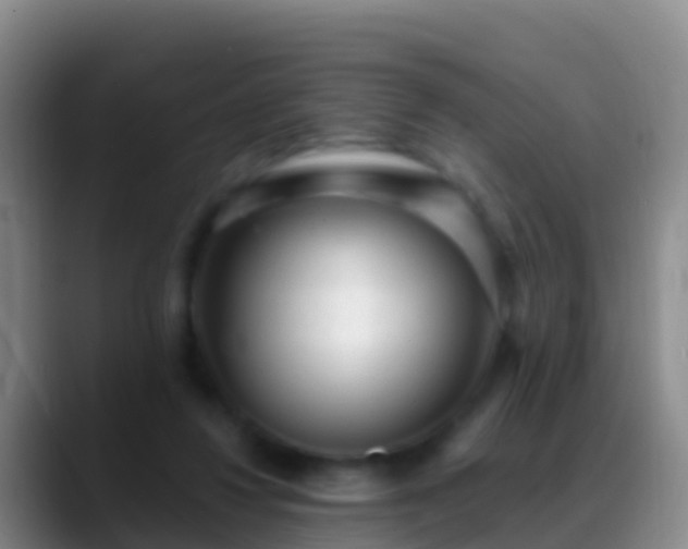 X0000088920260200706151930