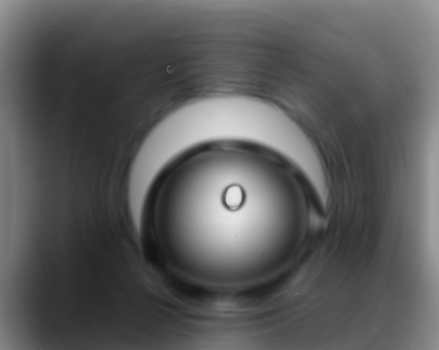 X0000088920264200706151930