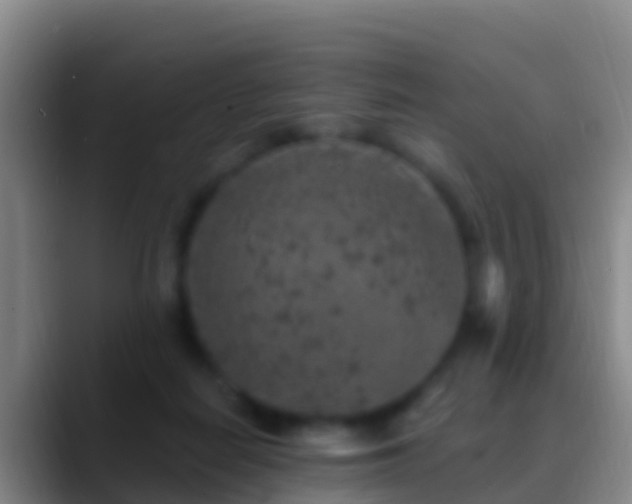 X0000088920266200706151930