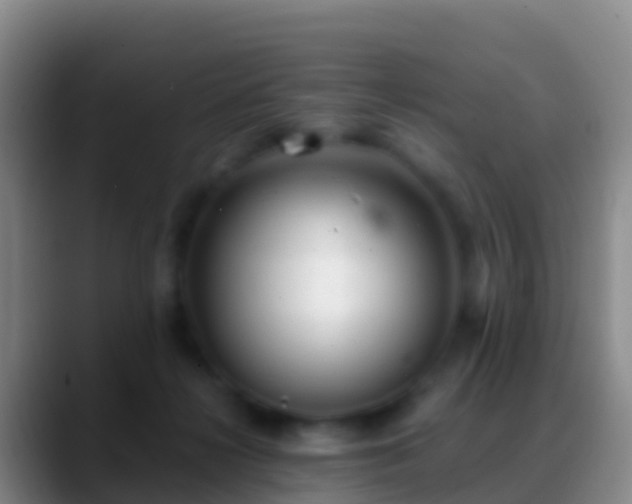 X0000088920268200706151930
