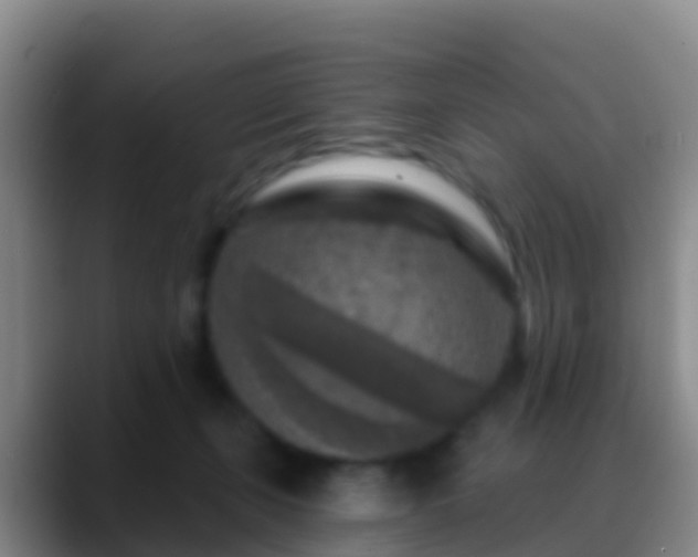 X0000088920271200706151930