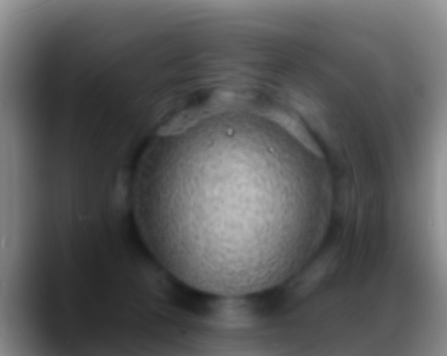 X0000088920273200706151930