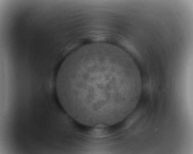 X0000088920277200706151930