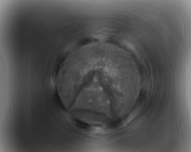 X0000088920285200706151930