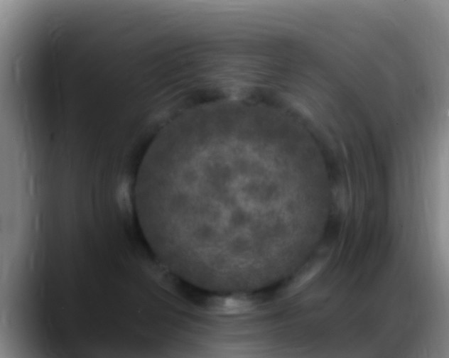 X0000088920286200706151930