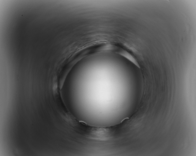 X0000088920288200706151930