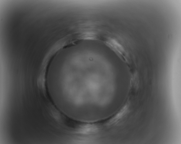 X0000088920293200706151930