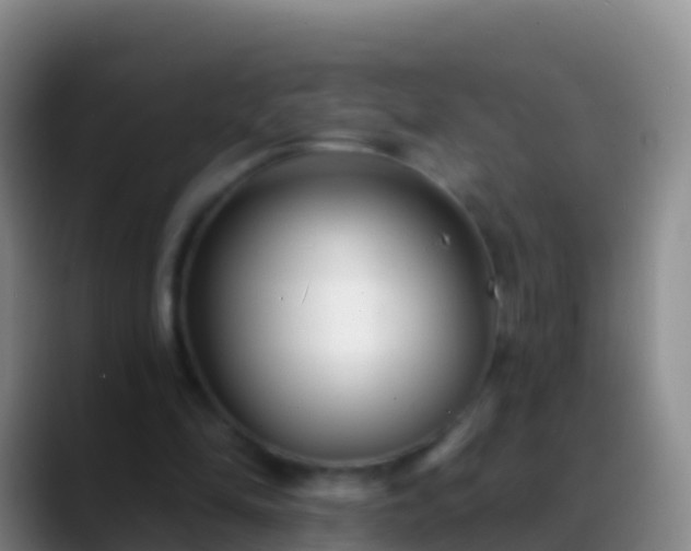 X0000088920294200706151930