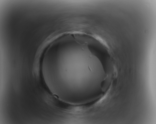 X0000088920295200706151929