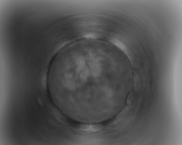 X0000088920297200706151929