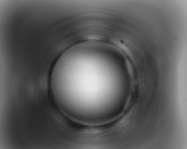 X0000088920299200706151929