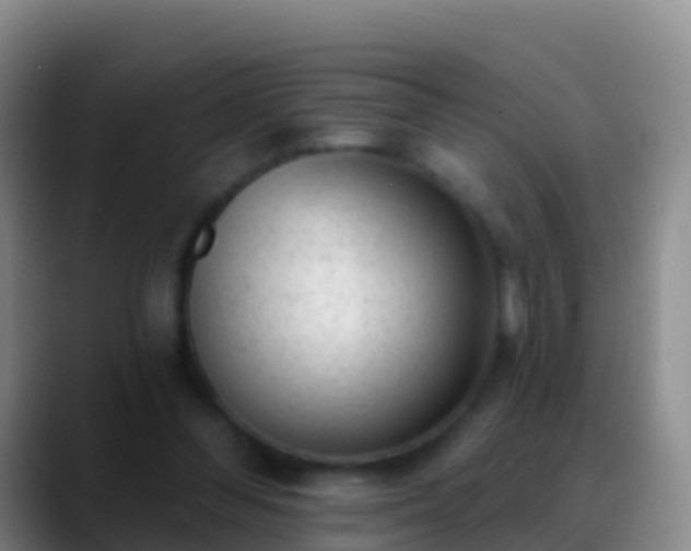 X0000088920300200706151929