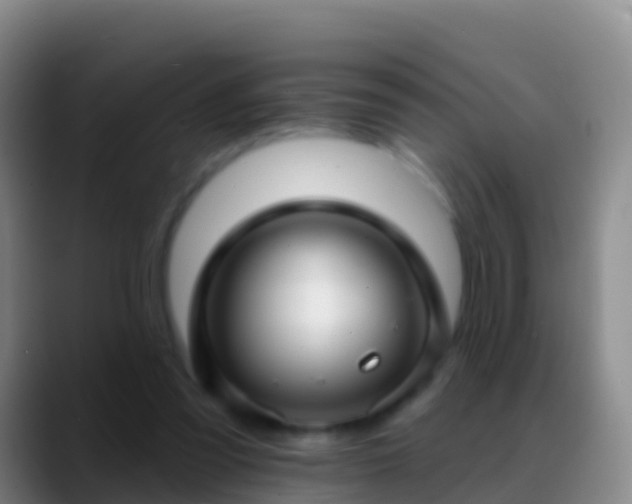 X0000088920301200706151929