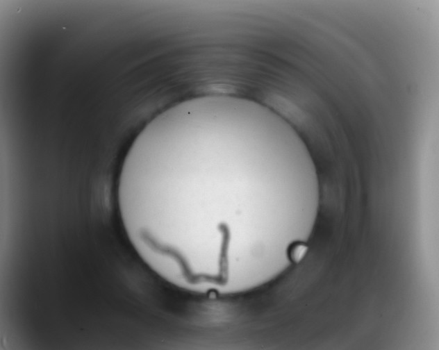 X0000088920302200706151929