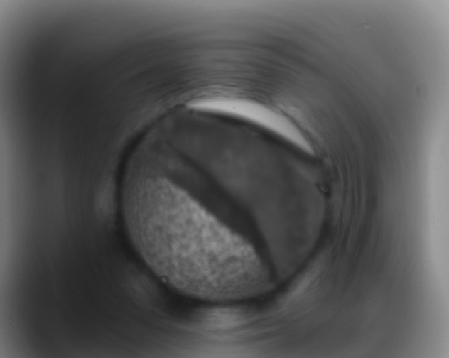 X0000088920303200706151929