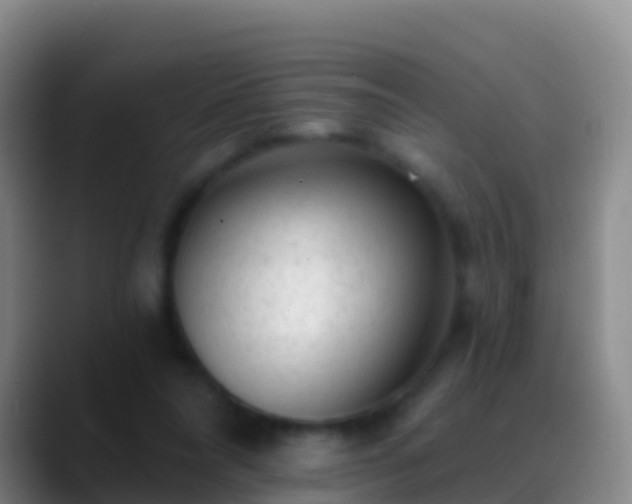 X0000088920304200706151929