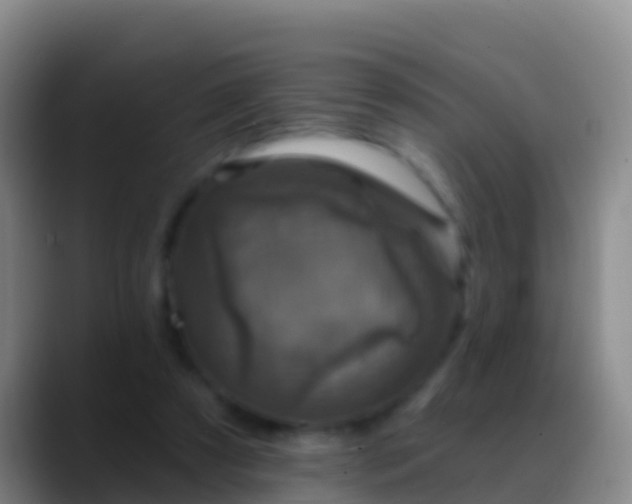 X0000088920305200706151929
