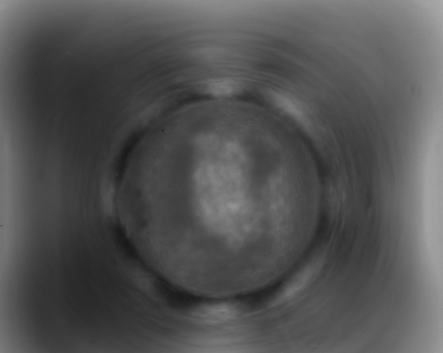 X0000088920307200706151929