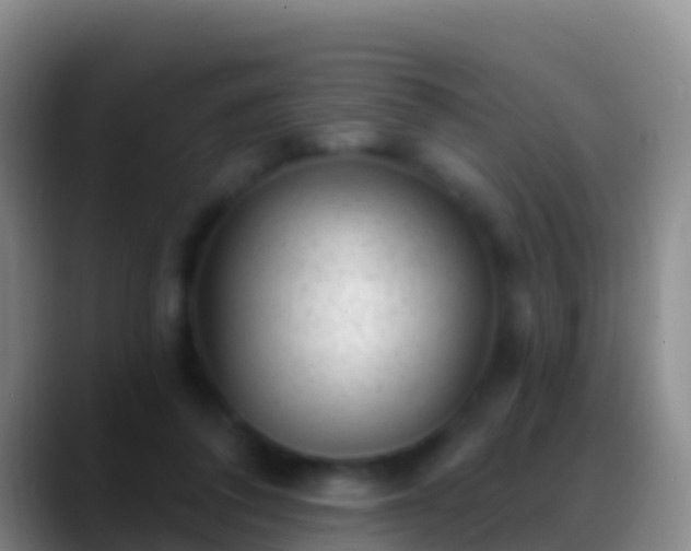 X0000088920308200706151929