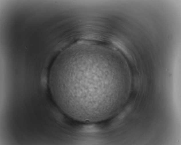 X0000088920309200706151929