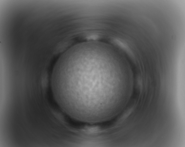 X0000088920311200706151929