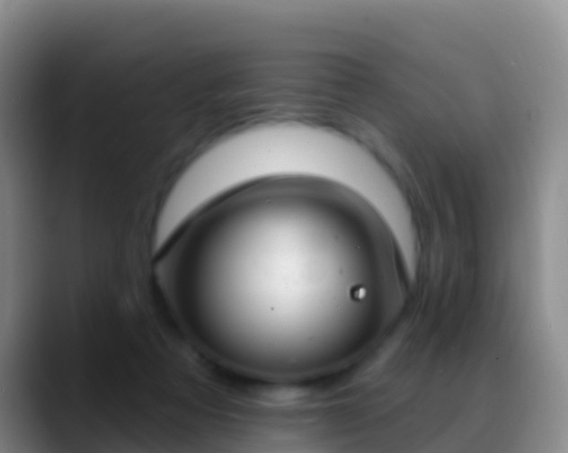 X0000088920313200706151929