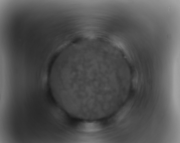 X0000088920314200706151929