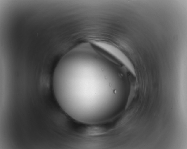 X0000088920315200706151929